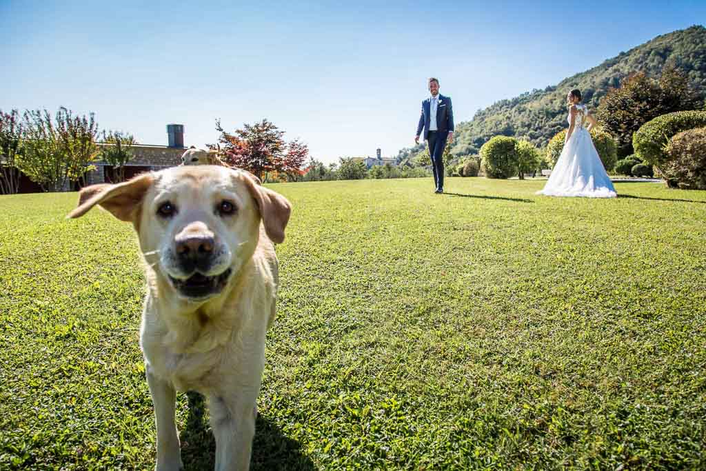 tenuta Colle Piajo Bergamo Daniele Cortinovis Fotografia
